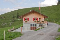 Neubau Alpstall Giswil