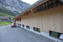Neubau Alpstall Giswil