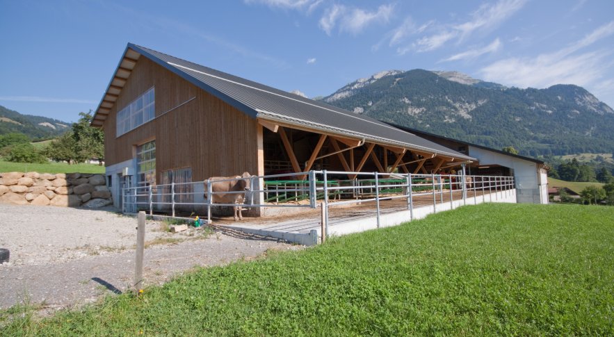 Neubau Laufstall Alpnach