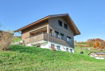 Neubau EFH Wilen