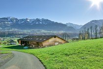 Neubau Stall Sarnen