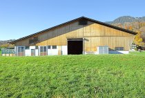 Neubau Stall Sarnen