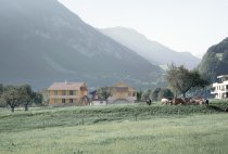 Neubau EFH + DEFH Giswil